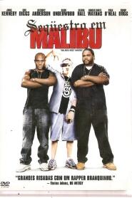 Assistir Sequestro em Malibu online