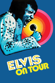 Assistir Elvis Triunfal online