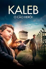 Assistir Kaleb - O Cão Herói online