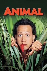 Assistir Animal online