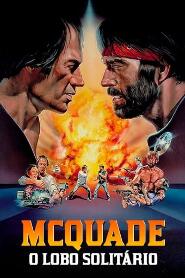 Assistir McQuade: O Lobo Solitário online