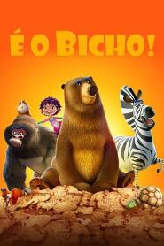 Assistir É o Bicho! online