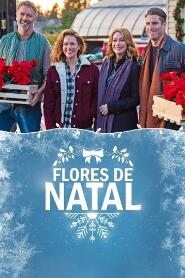 Assistir Flores de Natal online