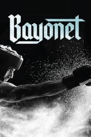 Assistir Bayonet online