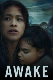 Assistir Awake online