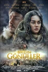 Assistir Birlesen Gönüller online