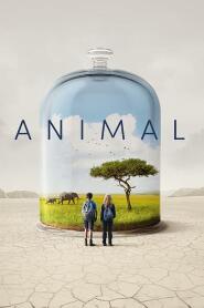 Assistir Animal online