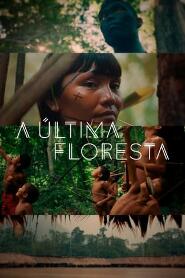 Assistir A Última Floresta online