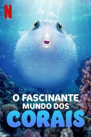 Assistir O Fascinante Mundo dos Corais online