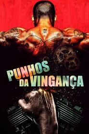 Assistir Punhos da Vingança online