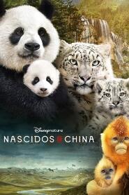 Assistir Nascidos na China online