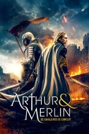 Assistir Arthur & Merlin: Cavaleiros de Camelot online