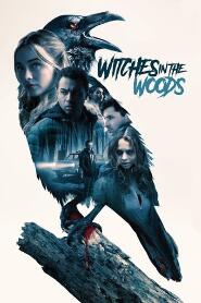 Assistir Witches in the Woods online