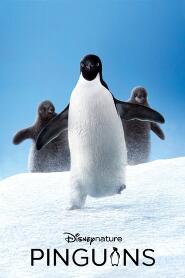 Assistir Pinguins online