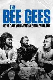 Assistir The Bee Gees: How Can You Mend a Broken Heart online