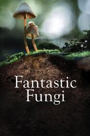 Assistir Fungos Fantásticos online