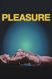 Assistir Pleasure online