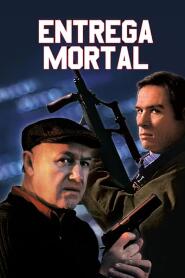 Assistir Entrega Mortal online