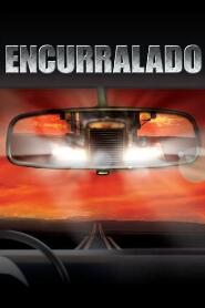 Assistir Encurralado online