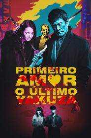 Assistir Primeiro Amor online