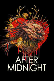 Assistir After Midnight online