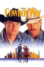 Assistir Jeito de Cowboy online