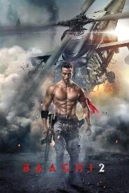 Assistir Baaghi 2 online