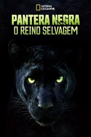 Assistir Pantera Negra: O Reino Selvagem online