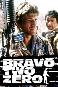 Assistir Bravo Two Zero online