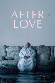 Assistir After Love online