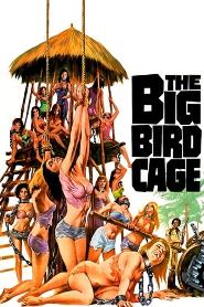 Assistir The Big Bird Cage online