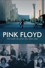 Assistir Pink Floyd: The Story of Wish You Were Here online