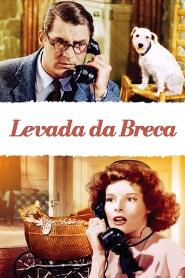 Assistir Levada da Breca online