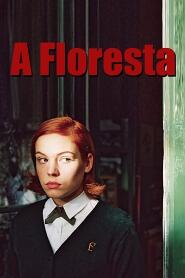 Assistir A Floresta online