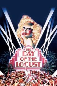 Assistir The Day of the Locust online