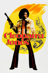 Assistir Cleopatra Jones online