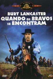 Assistir Quando os Bravos se Encontram online