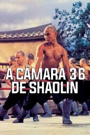 Assistir A Câmara 36 de Shaolin online