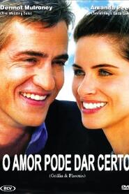 Assistir O Amor Pode Dar Certo online