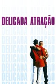 Assistir Delicada Atração online