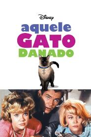 Assistir Aquele Gato Danado online