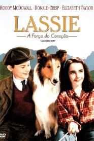 Assistir Lassie: A Força do Coração online