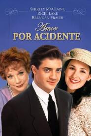 Assistir Amor por Acidente online