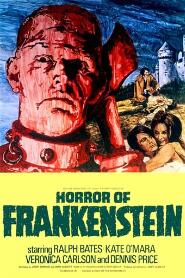 Assistir O Horror de Frankenstein online