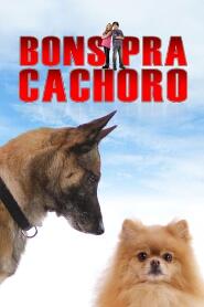 Assistir Bons Pra Cachorro online