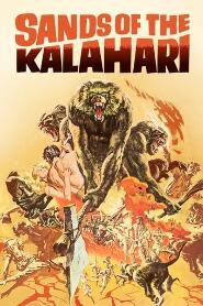 Assistir Perdidos no Kalahari online