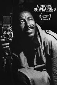 Assistir A Choice of Weapons: Inspired by Gordon Parks online