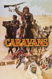 Assistir Caravanas online