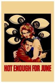 Assistir Hot Enough for June online