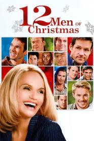 Assistir Um Natal Diferente online